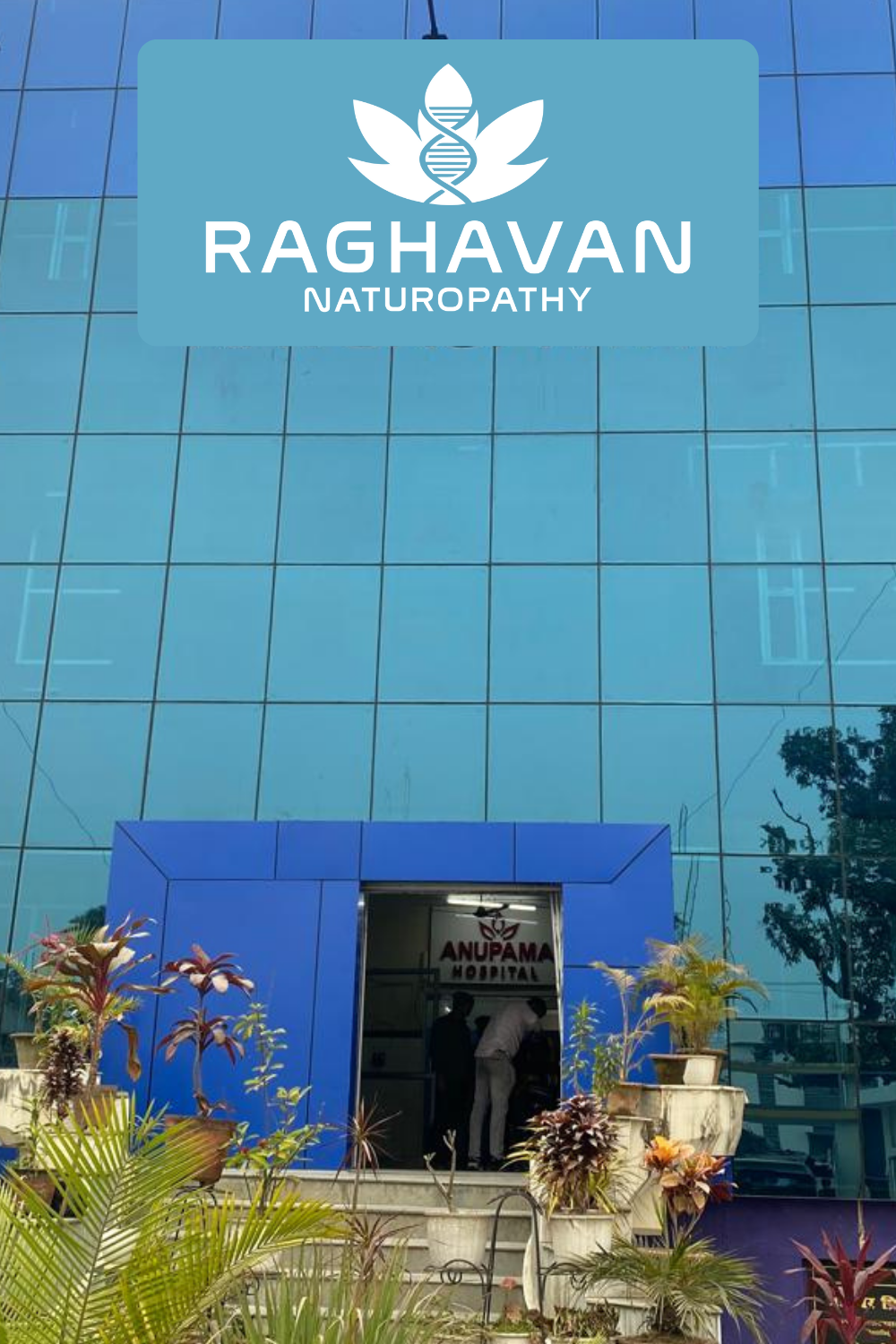 Raghavan Naturopathy