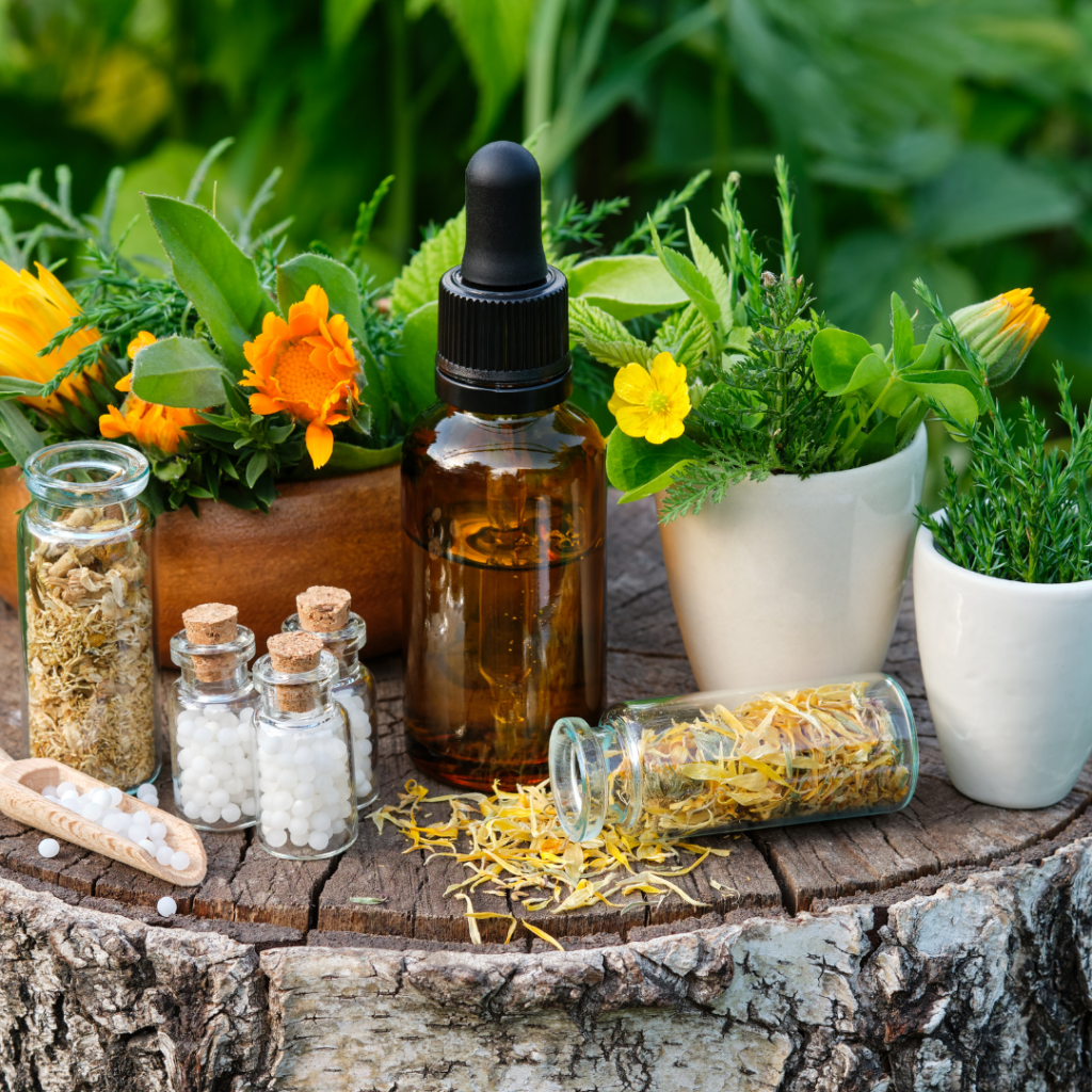 Raghavan Naturopathy Herbs