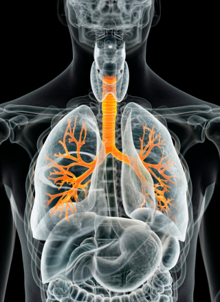 Respiratory Disease management by Raghavan Naturopathy